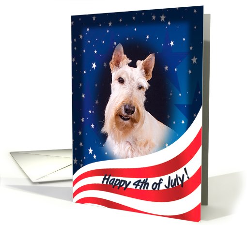 July 4th Card - featuring a wheaten Scottish Terrier card (824090)