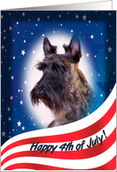 July 4th Card - featuring a brindle Scottish Terrier card