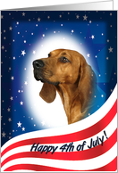 July 4th Card - featuring a Redbone Coonhound card