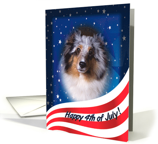 July 4th Card - featuring a blue merle Shetland Sheepdog card (824102)