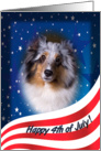 July 4th Card - featuring a blue merle Shetland Sheepdog card