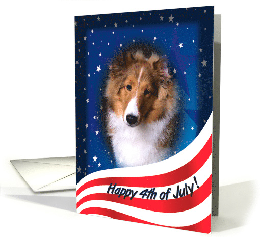 July 4th Card - featuring a Shetland Sheepdog puppy card (824104)