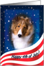 July 4th Card - featuring a Shetland Sheepdog puppy card