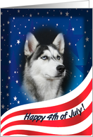 July 4th Card - featuring a Siberian Husky card