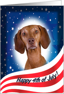 July 4th Card - featuring a Vizsla card