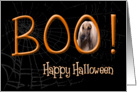 Boo! Happy Halloween - featuring an Afghan Hound card