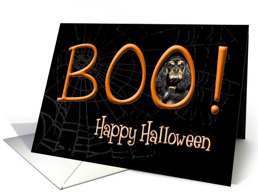 Boo! Happy Halloween - featuring a tri Cocker Spaniel card (825534)