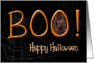 Boo! Happy Halloween - featuring a brown Cocker Spaniel card