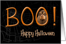 Boo! Happy Halloween - featuring a chocolate/tan Cocker Spaniel card