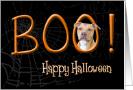 Boo! Happy Halloween - featuring an American Staffordshire Terrier card