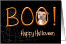 Boo! Happy Halloween - featuring an American Staffordshire Terrier card