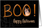 Boo! Happy Halloween - featuring an Australian Cattle Dog card