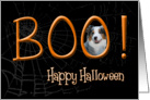 Boo! Happy Halloween - featuring an Australian Shepherd card
