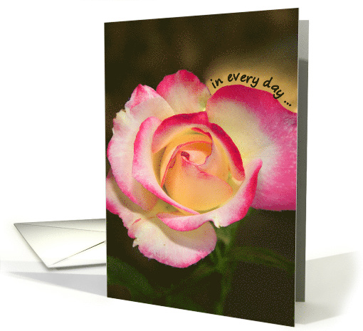 Inspirational card featuring a beautiful rose card (828342)