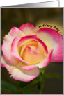 Inspirational card featuring a beautiful rose card