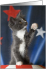 Celebrate Left Handers Day with this Southpaw Kitten card