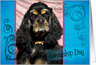 Friendship Day card featuring a tri-color American Cocker Spaniel card