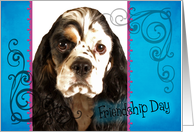Friendship Day card featuring a parti American Cocker Spaniel card