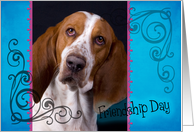 Friendship Day card featuring a Basset Hound card
