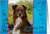 Friendship Day card featuring a red Australian Shepherd card