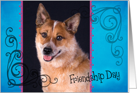 Friendship Day card featuring an Australian Cattle Dog card