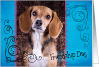 Friendship Day card featuring a Beagle card