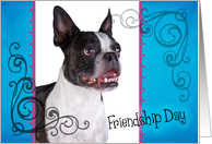 Friendship Day card featuring a Boston Terrier card