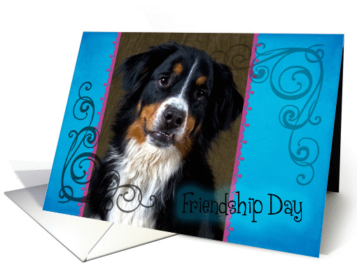 Friendship Day card featuring a Greater Swiss Mountain Dog card