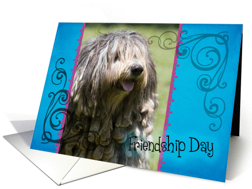 Friendship Day card featuring a Bergamasco card (833952)