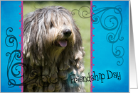 Friendship Day card featuring a Bergamasco card