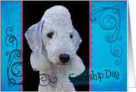 Friendship Day card featuring a Bedlington Terrier card