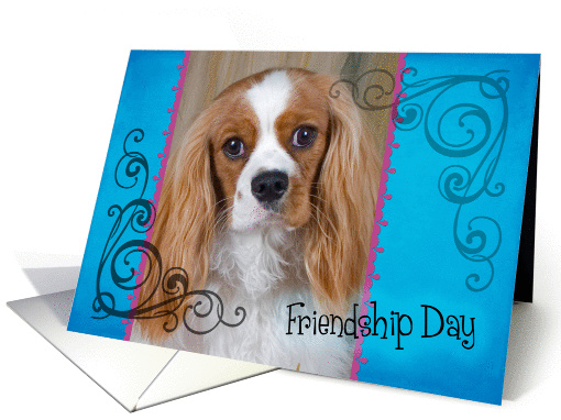 Friendship Day card featuring a Cavalier King Charles Spaniel card