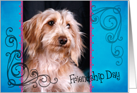 Friendship Day card featuring a wirehaire Dachshund card