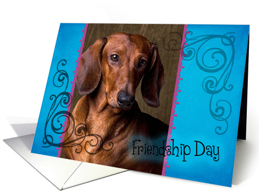 Friendship Day card featuring a smooth red Dachshund card (833966)
