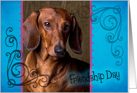 Friendship Day card featuring a smooth red Dachshund card