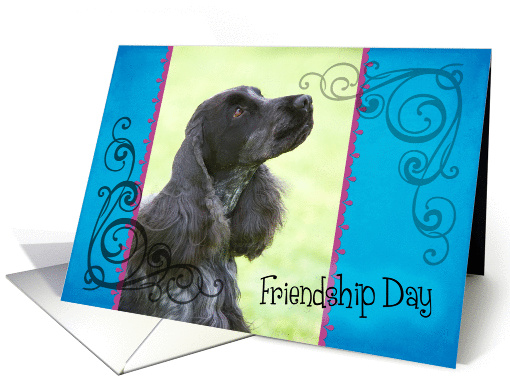 Friendship Day card featuring a blue roan English Cocker Spaniel card