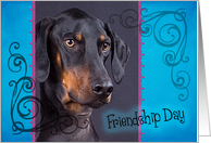 Friendship Day card featuring a Doberman Pinscher with natural ears card