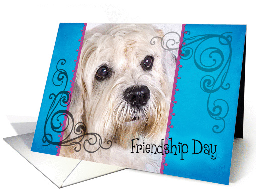 Friendship Day card featuring a Dandie Dinmont Terrier card (833980)