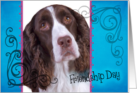 Friendship Day card featuring a liver/white English Springer Spaniel card