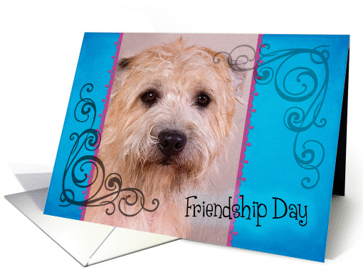 Friendship Day card featuring a Glen of Imaal Terrier card (833993)