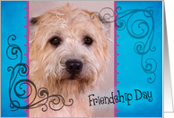 Friendship Day card featuring a Glen of Imaal Terrier card