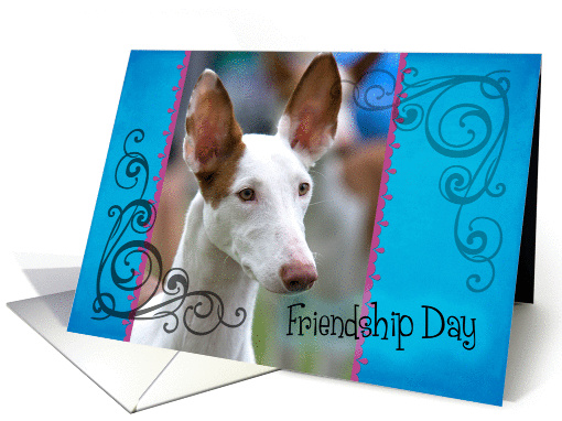 Friendship Day card featuring an Ibizan Hound card (834005)