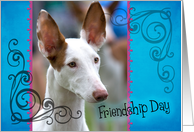 Friendship Day card featuring an Ibizan Hound card