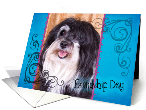 Friendship Day card featuring a Havanese card (834007)