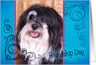 Friendship Day card featuring a Havanese card
