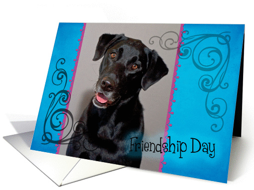 Friendship Day card featuring a black Labrador Retriever card (834026)