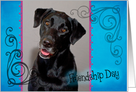 Friendship Day card featuring a black Labrador Retriever card