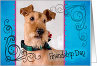 Friendship Day card featuring an Irish Terrier card
