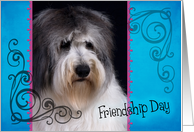 Friendship Day card featuring a Polish Lowland Sheepdog card