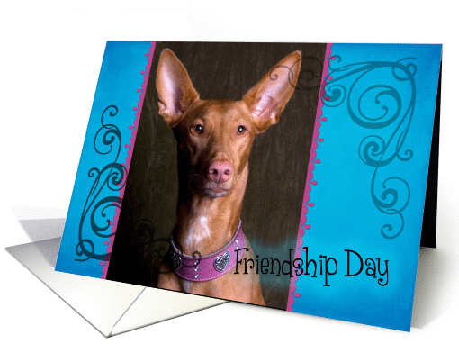 Friendship Day card featuring a Pharaoh Hound card (834109)